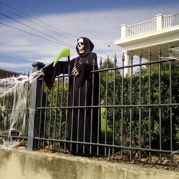 Meet your Posher, Norma Yvonne, aka, PYRETTA BLAZE - Picture 5 of 7